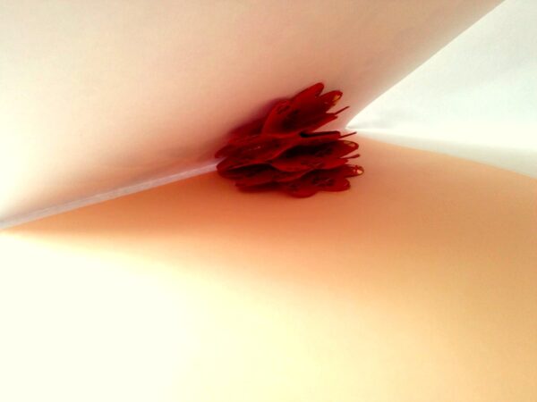 Quilled Red Flowers On Glossy Print image