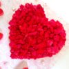 Dried Rose Petals In Heart Quilled Greeting Card image