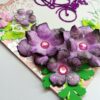 Purple Corner Flowers with Paper Lace Greeting Card image Purple Corner Flowers with Paper Lace Greeting Card image