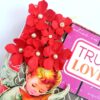 Love Zig Zag Photo and Message Album image