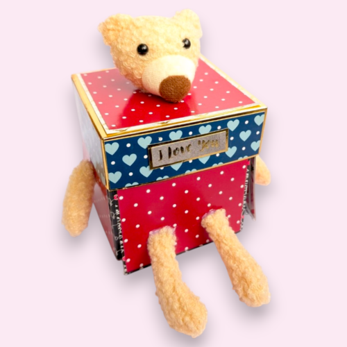 3 Layered Cute Teddy Love Explosion Box