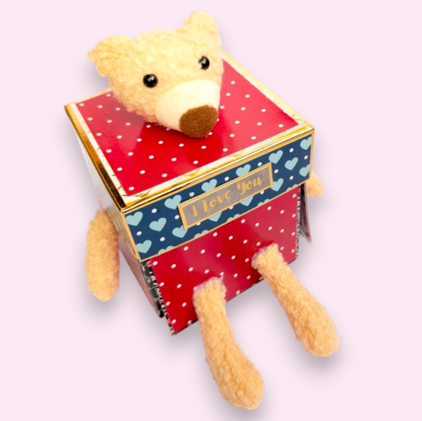 3 Layered Cute Teddy Love Explosion Box 3 Layered Cute Teddy Love Explosion Box