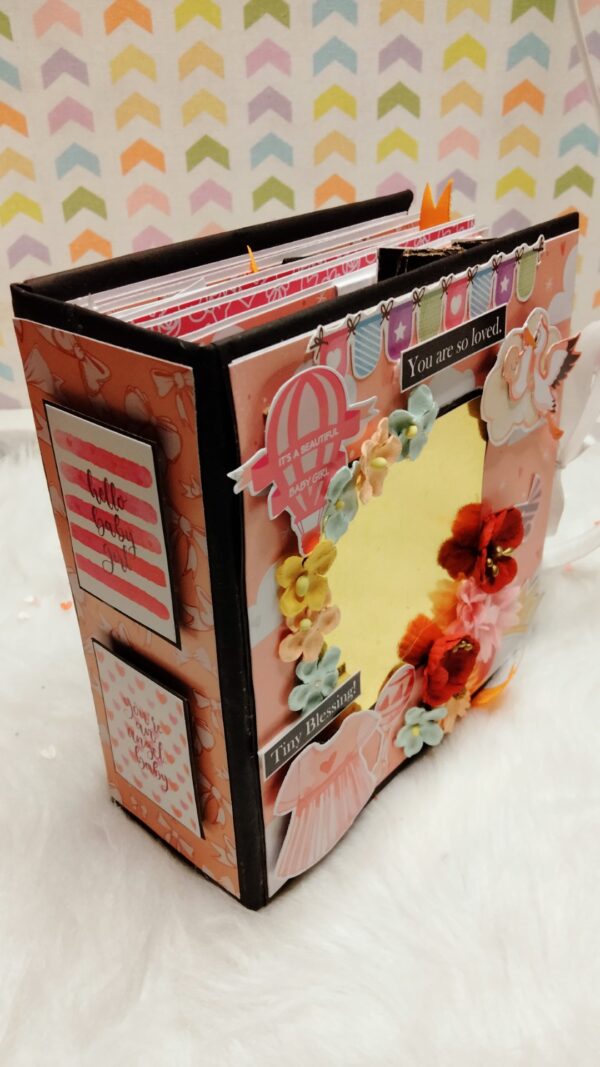 Baby Girl 1 year journey scrapbook