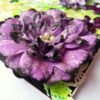 Sparkling Purple Handmade Flowers Greeting Card image