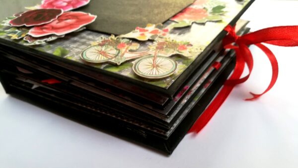 Fancy Love/Birthday Memories scrapbook - F1 image