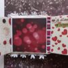 Love and Valentine Themed Mini Scrapbook image